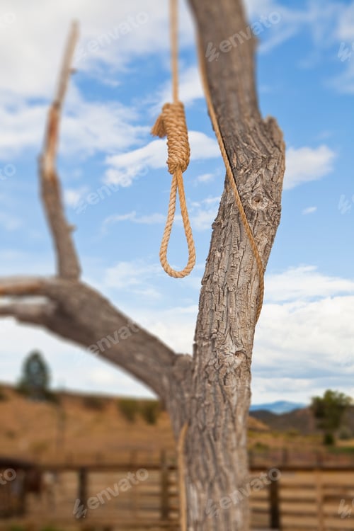 Preview: Hangman Noose in a Tree