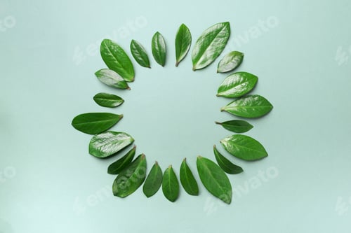 Preview: Spring leaves pattern on green background. Creative layout. Top view. Flat lay