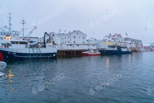 Preview: Lofoten islands, Nordland county, Norway, Europe. White snowy mountain hills and trees, nature