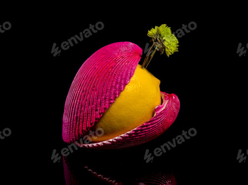 Preview: Composition with lemon and shells on a black background
