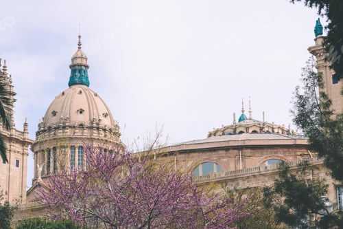 Preview: Museum of Catalan art in Barcelona with pink flower blossoms