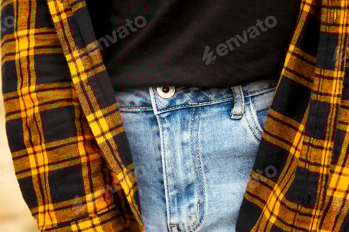 Preview: Plaid Shirt and Blue Jeans Casual Fashion