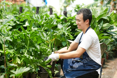Preview: Man Enjoying Working with Plants
