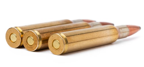 Preview: Metal cartridges isolated on white background close up