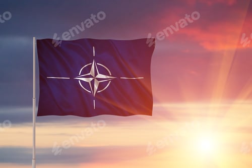 Preview: Flag of the _________