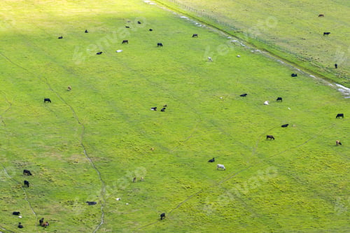 Preview: Production of organic dairy products.