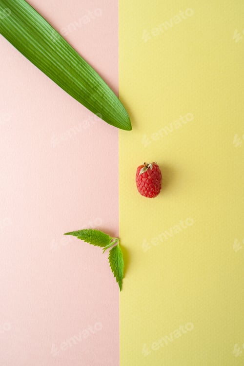 Preview: One raspberry, mint and leaf of a tropical plant on a pastel yel