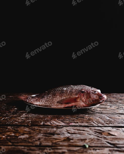 Preview: close-up view of fresh raw sea fish on vintage plate on rustic wooden table