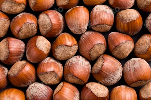 Preview: hazelnuts background