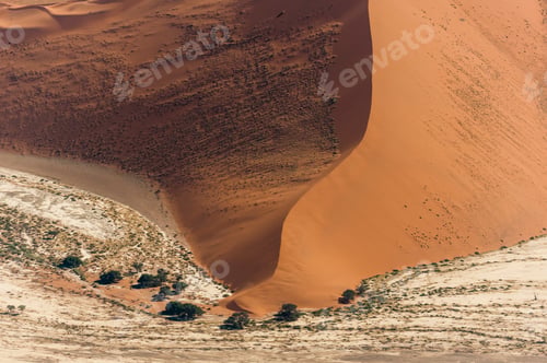 Preview: Sweeping dune embracing the contrasting landscape