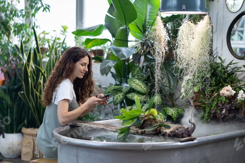 Preview: Woman gardener taking photo of aquatic plant in greenhouse using smartphone under freestanding bath