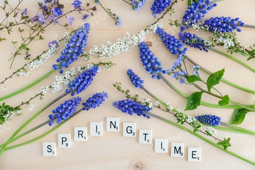 Preview: fresh blue and white spring flowers arranged on a light background with the word springtime beneath