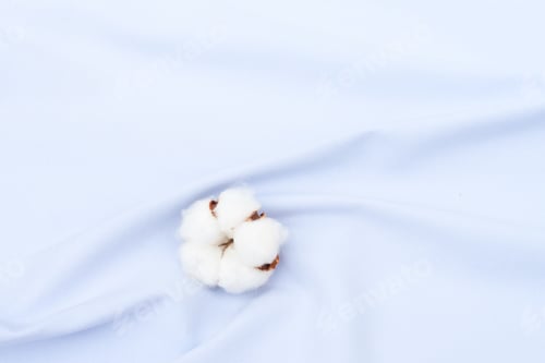 Preview: Raw cotton buds on cotton texture