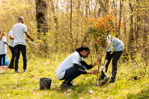 Preview: Team of two activists doing voluntary work to plant trees in the forest