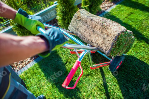 Preview: Natural Grass Turf Install