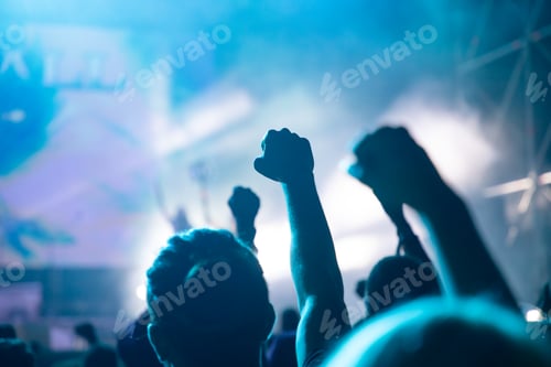 Preview: crowd at concert - summer music festival