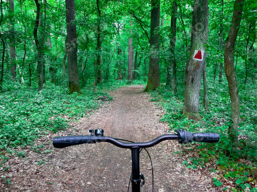 Preview: Bicycle in the forest during springtime with no people around