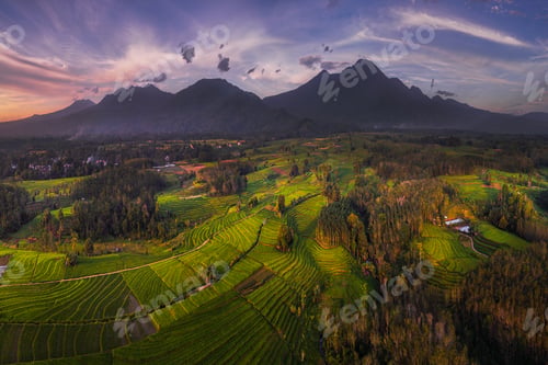 Preview: Beautiful morning view indonesia Panorama Landscape paddy fields with beauty color and sky natural l