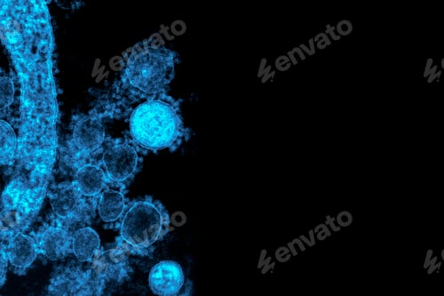 Preview: Novel coronavirus under a microscope