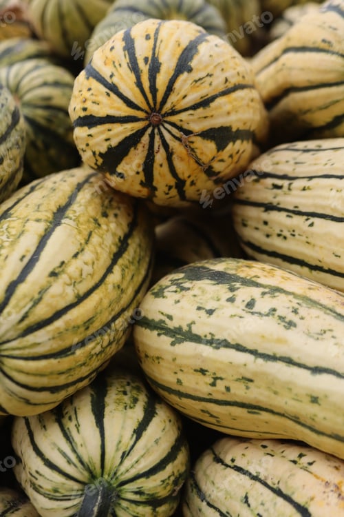 Preview: Textured pumpkins at the autumn fair close-up