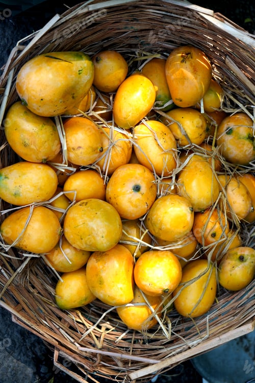 Preview: famous Indian Alphonso mangoes in the market.