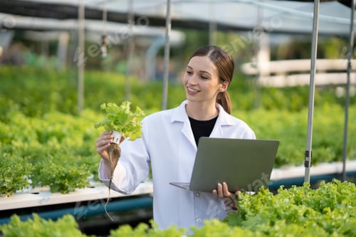 Preview: Quality control of green hydroponics salad. Young female expert scientist checking the quality of th
