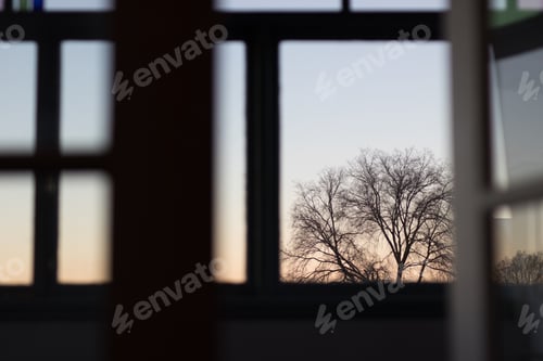 Preview: sun
