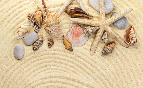 Preview: Background with seashells on the sand. Selective focus.
