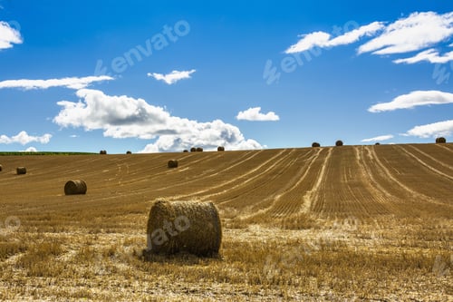 Preview: Harvested field with straw bales in Puy-de-Dome department, Auvergne-Rhone-Alpes, France