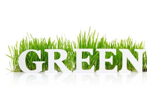 Preview: Word "Green" with fresh grass isolated on white
