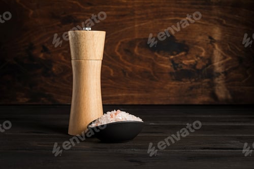 Preview: Coarse sea salt and a salt and pepper mill on wooden background, copy space