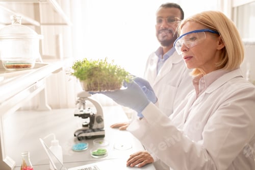 Preview: Scientists studying growth of seedling