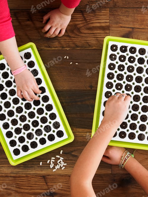 Preview: View from overhead of two children planting seeds into a seed growing tray.