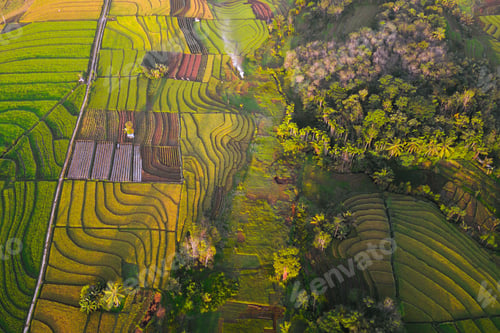 Preview: natural landscape of terraced rice terraces in Indonesia