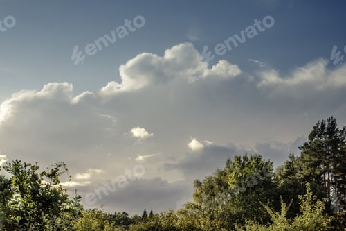 Preview: Clouds and trees