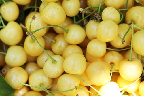 Preview: Fresh ripe cherries. Food background.