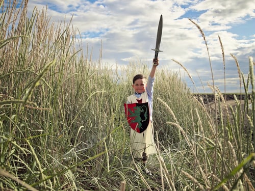 Preview: Boy playing with sword in wheat field