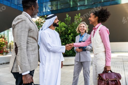 Preview: Group of multiethnic business people meeting an emirati businessman