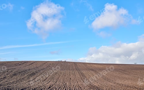 Preview: Green fields and blue skies. Nature photos from Denmark.
