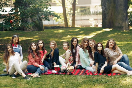 Preview: stylish happy group of women posing and smiling on picnic