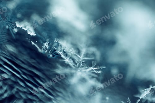 Preview: Macro shot of beautiful snowflakes