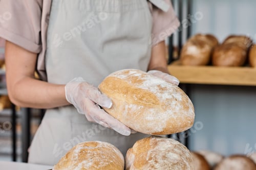 Preview: Gloved hands of female bakery seller holding loaf of fresh baked bread