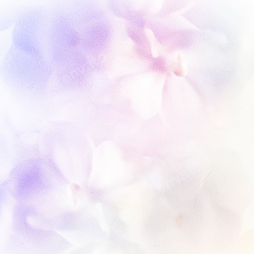 Preview: Vivid Color Roses Flower In Soft And Blur Style On Mulberry Paper Texture