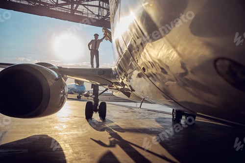 Preview: Beautiful image of aircraft with captain on the wing in the outdoors