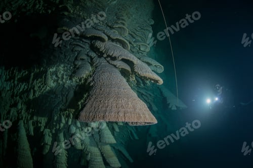 Preview: Scuba diver exploring unique natural formations known as "bells" in submerged caves beneath the