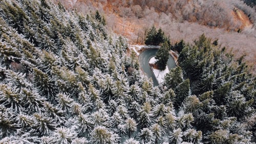 Preview: Aerial view of mountain road among the trees in winter forest.