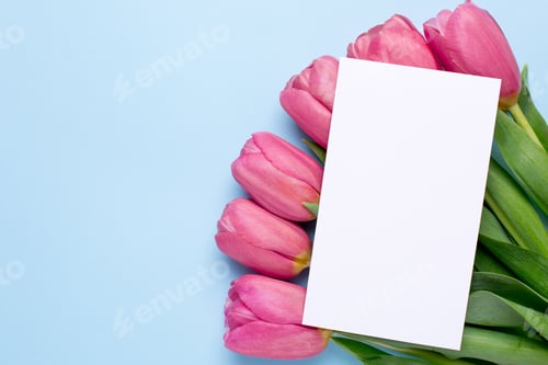 Preview: Pink Tulips with Blank White Card on Blue