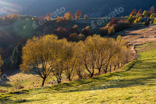 Preview: Autumn landscape