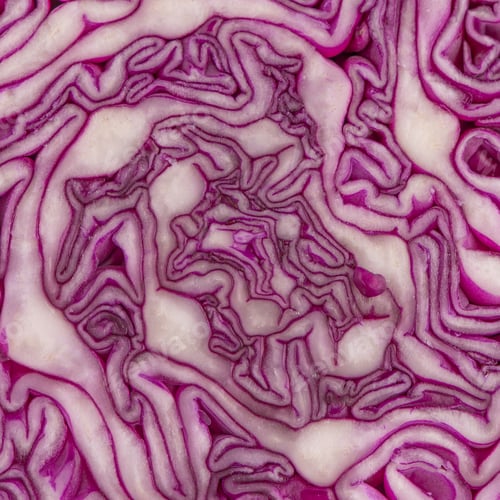 Preview: Close up view of a purple cabbage