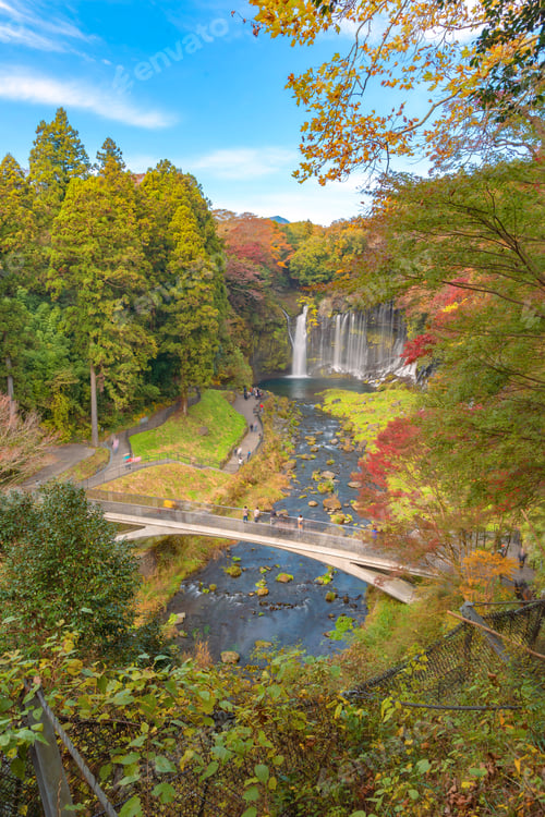 Preview: Shiraito waterfall. Maple leaves or fall foliage in autumn season near Fujikawaguchiko, Yamanashi.